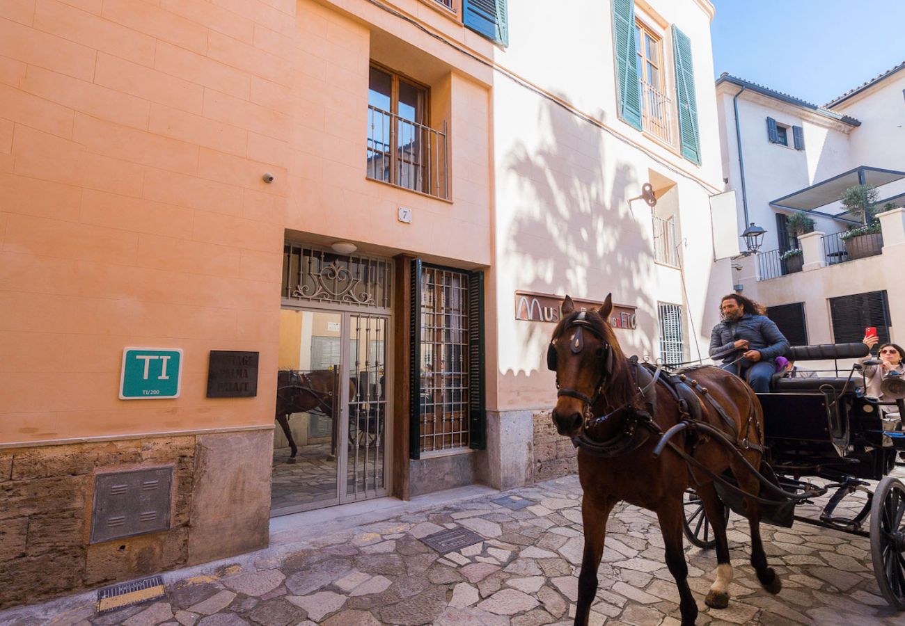 Appartement à Majorque/Mallorca - Vintage 6