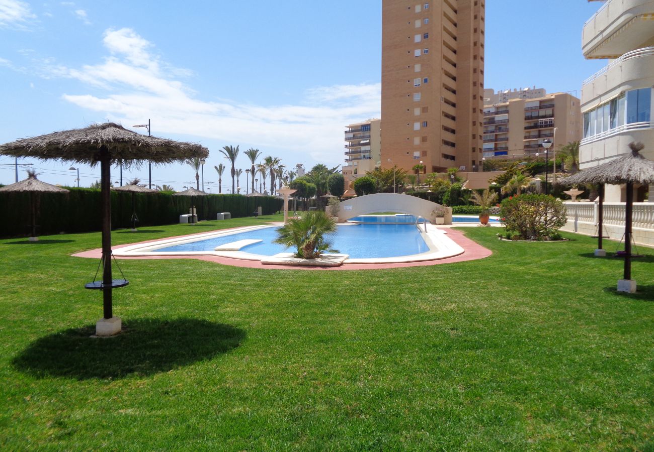 Appartement à El Campello - Classic Beachfront Muchavista