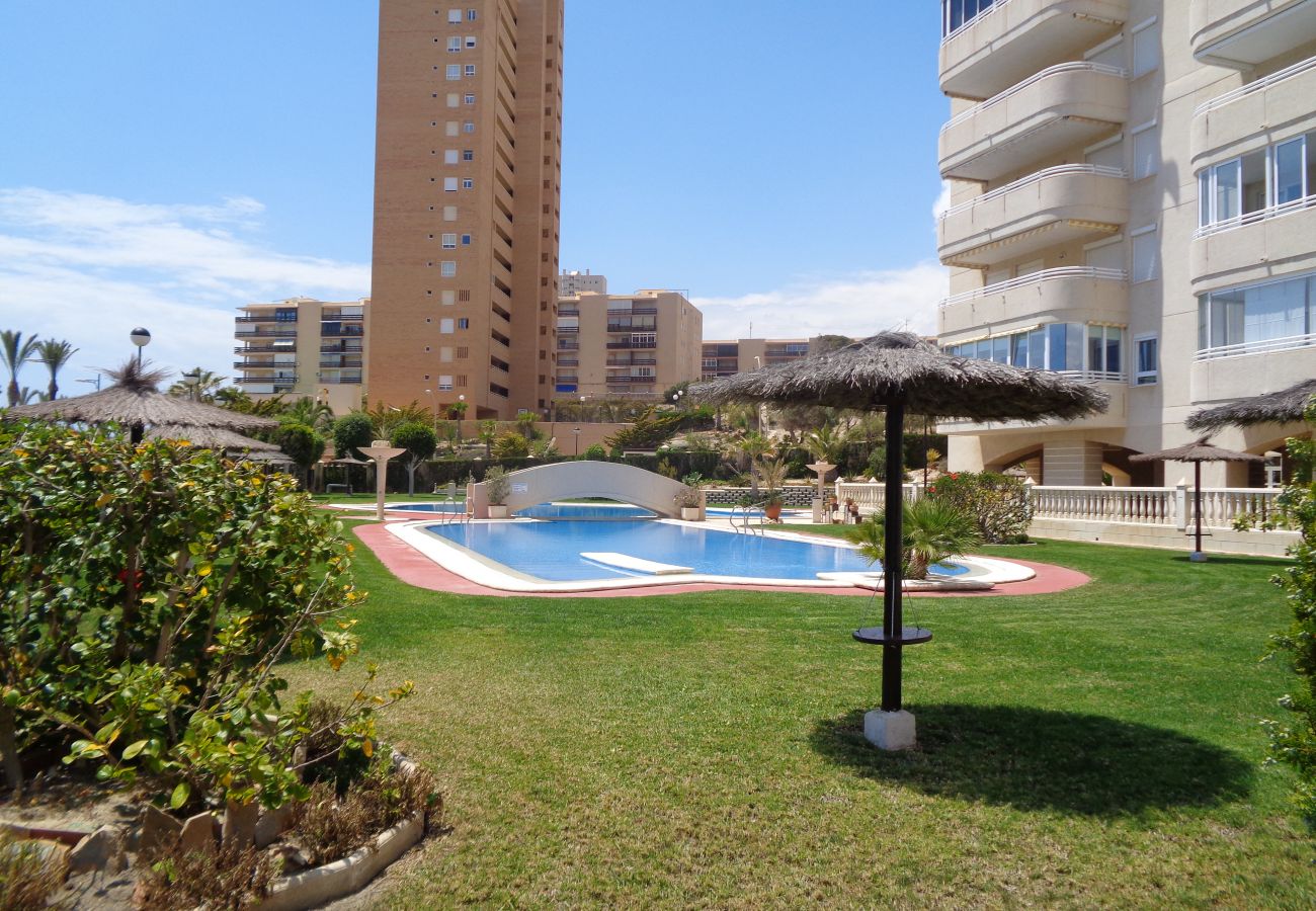 Appartement à El Campello - Classic Beachfront Muchavista