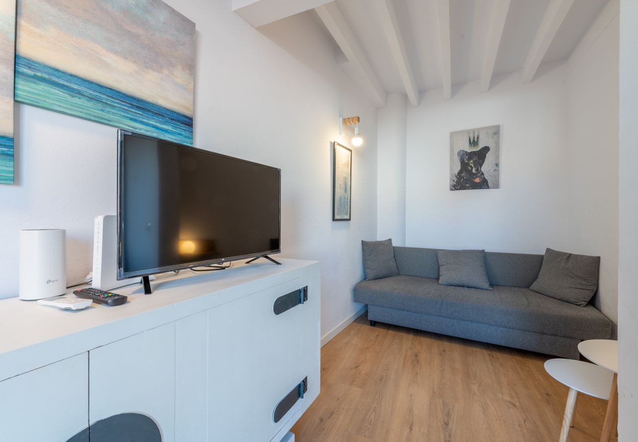 Appartement à Majorque/Mallorca -  HOLIDAY PALMA TERRACE APARTMENT