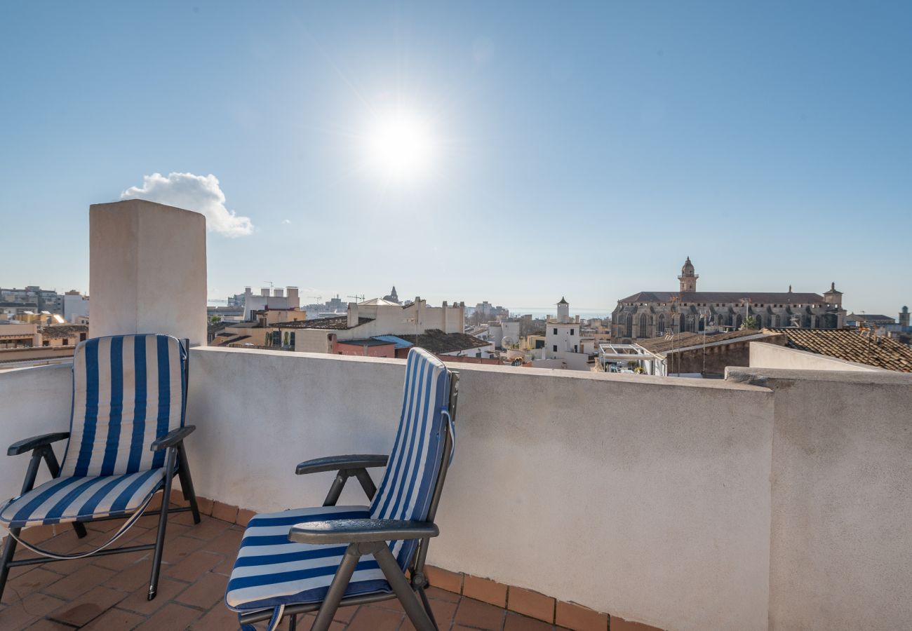 Appartement à Majorque/Mallorca -  HOLIDAY PALMA TERRACE APARTMENT