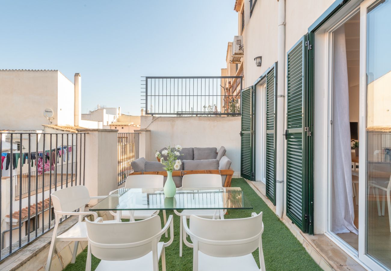 Appartement à Majorque/Mallorca -  HOLIDAY PALMA TERRACE APARTMENT