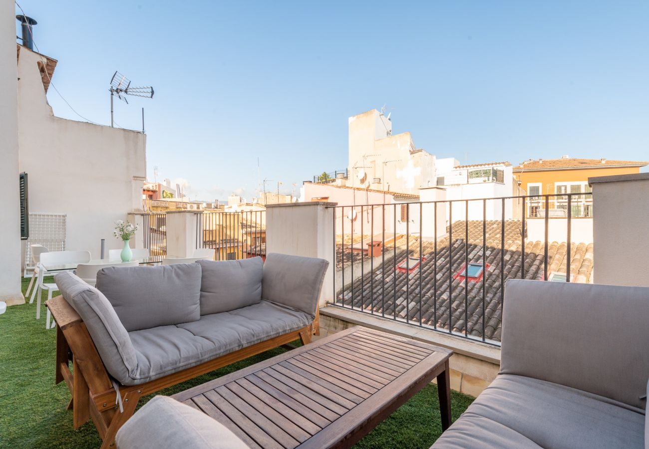 Appartement à Majorque/Mallorca -  HOLIDAY PALMA TERRACE APARTMENT