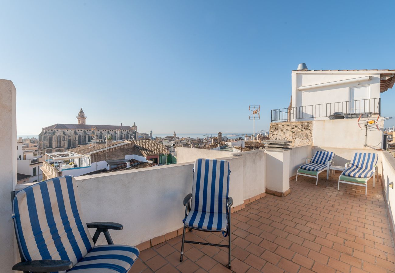 Appartement à Majorque/Mallorca -  HOLIDAY PALMA TERRACE APARTMENT