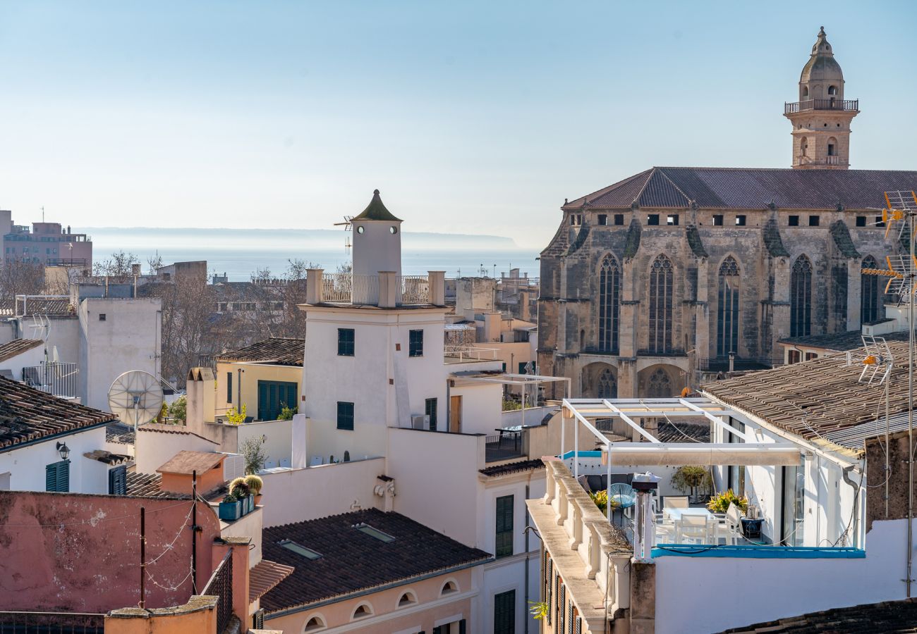 Appartement à Majorque/Mallorca -  HOLIDAY PALMA TERRACE APARTMENT