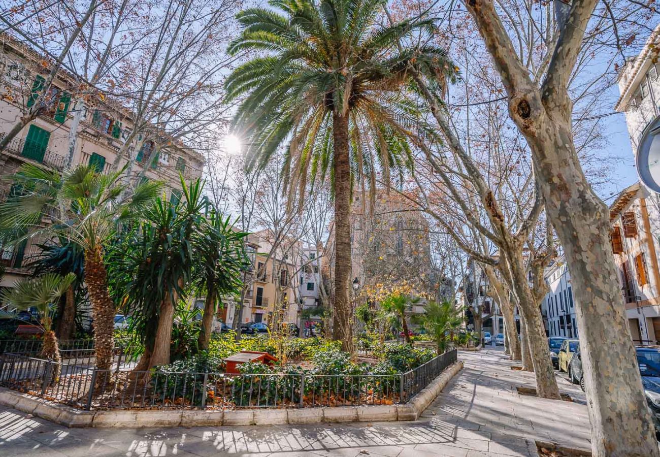 Appartement à Majorque/Mallorca - Vintage 7