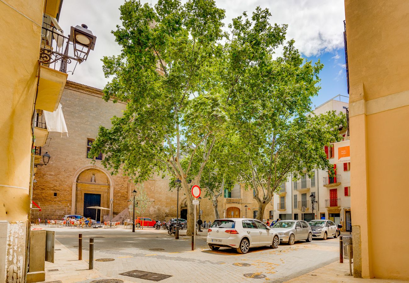 Appartement à Majorque/Mallorca - Duplex Palma Apartment