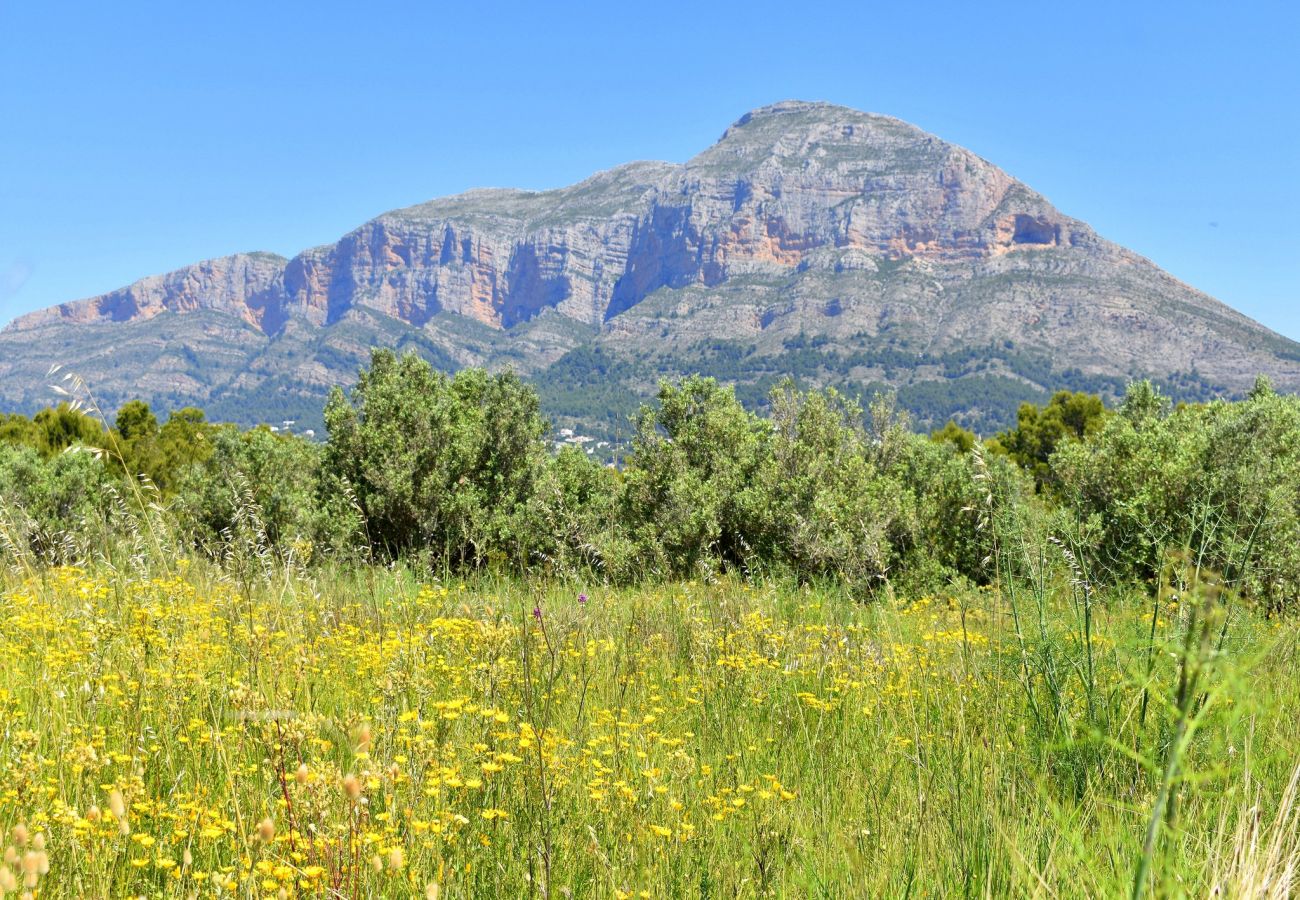 Шале на Хавеа / Javea - Casa Mahler Javea - 5045