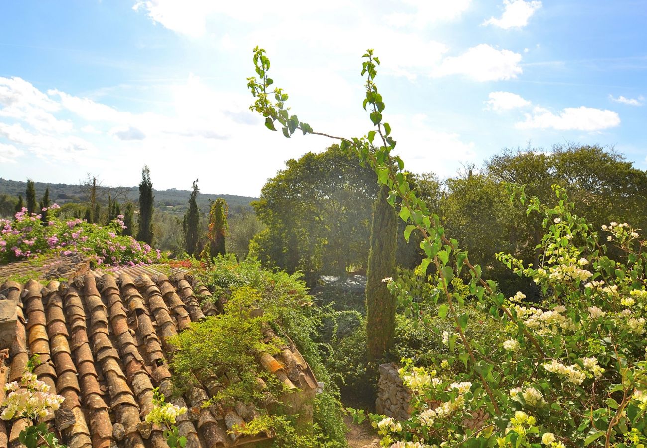 Особняк на Llubi - Son Barraquer 047 tradicional finca con piscina y magnífico jardín