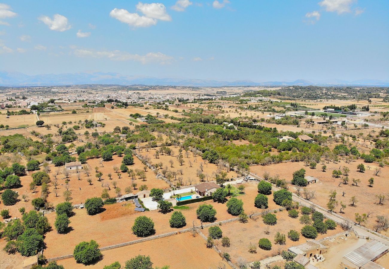 Особняк на Santa Margalida - S'Estret 184 mágnifica finca con piscina privada, terraza, acogedor jardín y ping pong